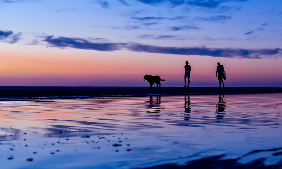 Dog Friendly Botswana Dog Friendly Botswana