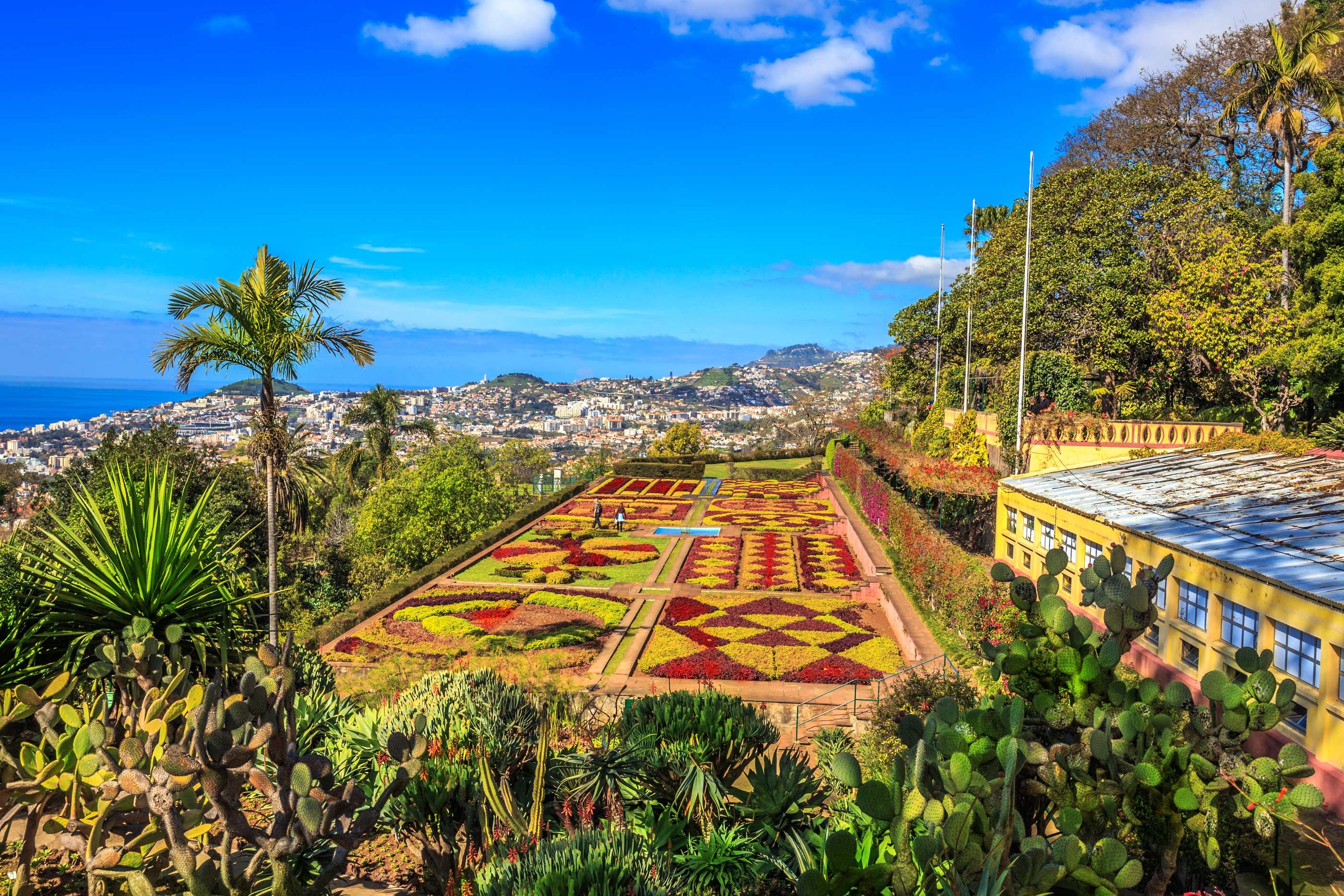 5 Reasons To Visit Madeira Wanderlust