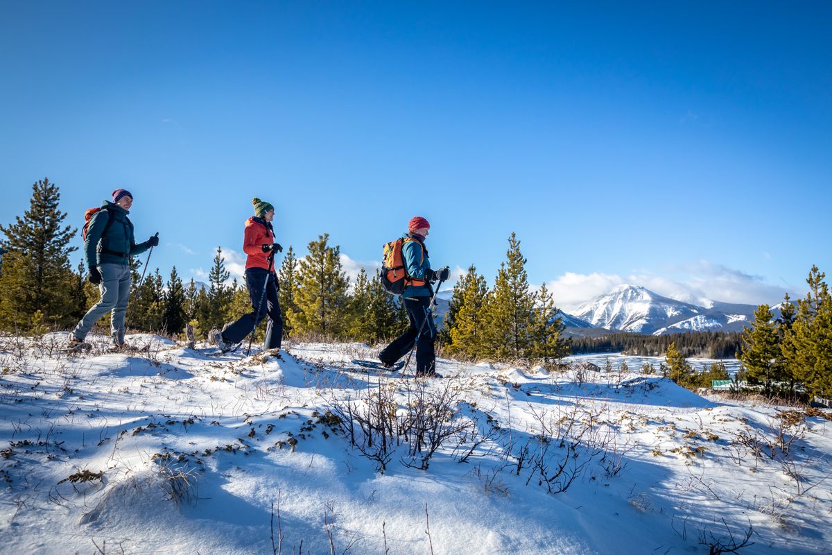 How to spend a unique winter in Canada with Wexas How to spend a unique winter in Canada with Wexas