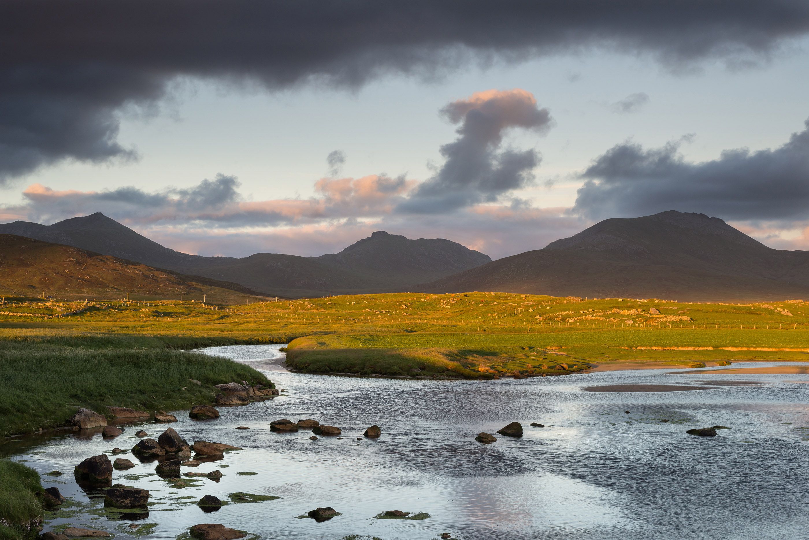 Where Can You See Golden Eagles In Scotland Wanderlust