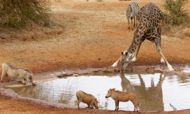 The Best Virtual Tours Of Africa Wanderlust The Best Virtual Tours Of Africa Wanderlust