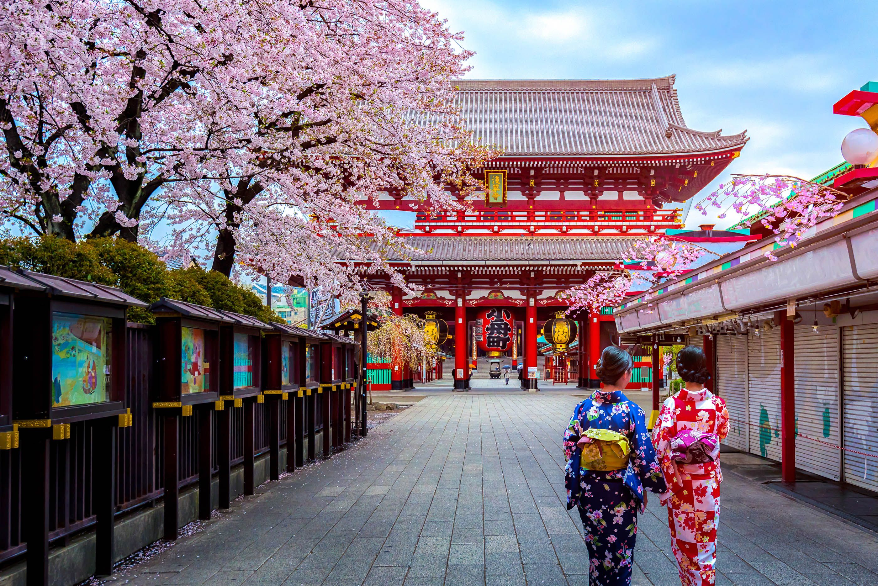 CULTURE GATE to JAPAN dive into culture in Tokyo Wanderlust