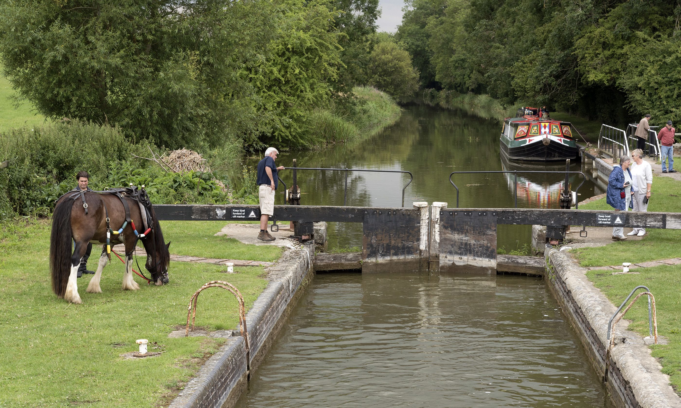 A Clydesdale cob horse on the Kennet and Avon Canal near Kintbury (Shutterstock)