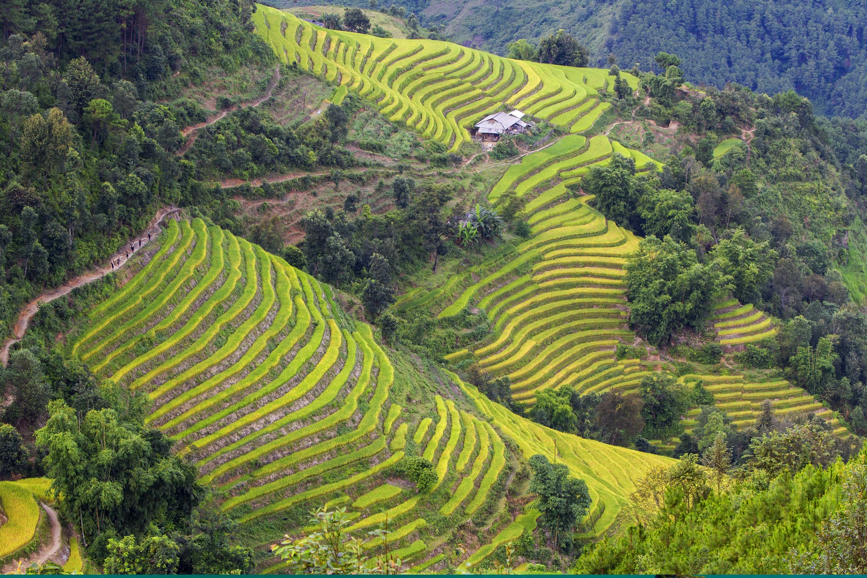 Ha Giang (Shutterstock)