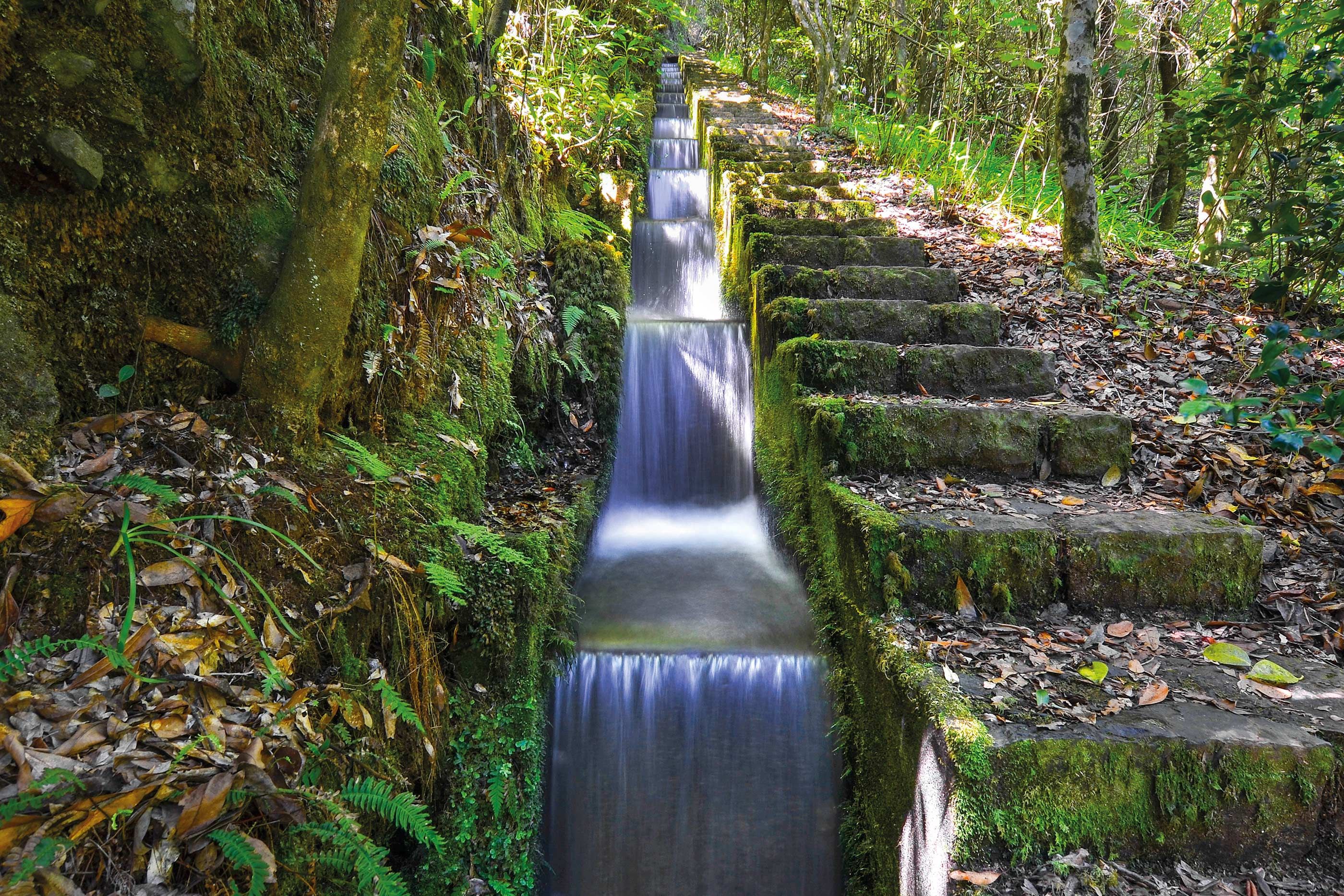 Levadas form the backbone of some of the island’s finest hikes (Shutterstock)