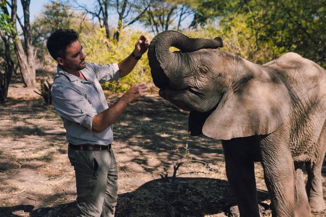 Interview Levison Wood On Walking With Elephants Wanderlust