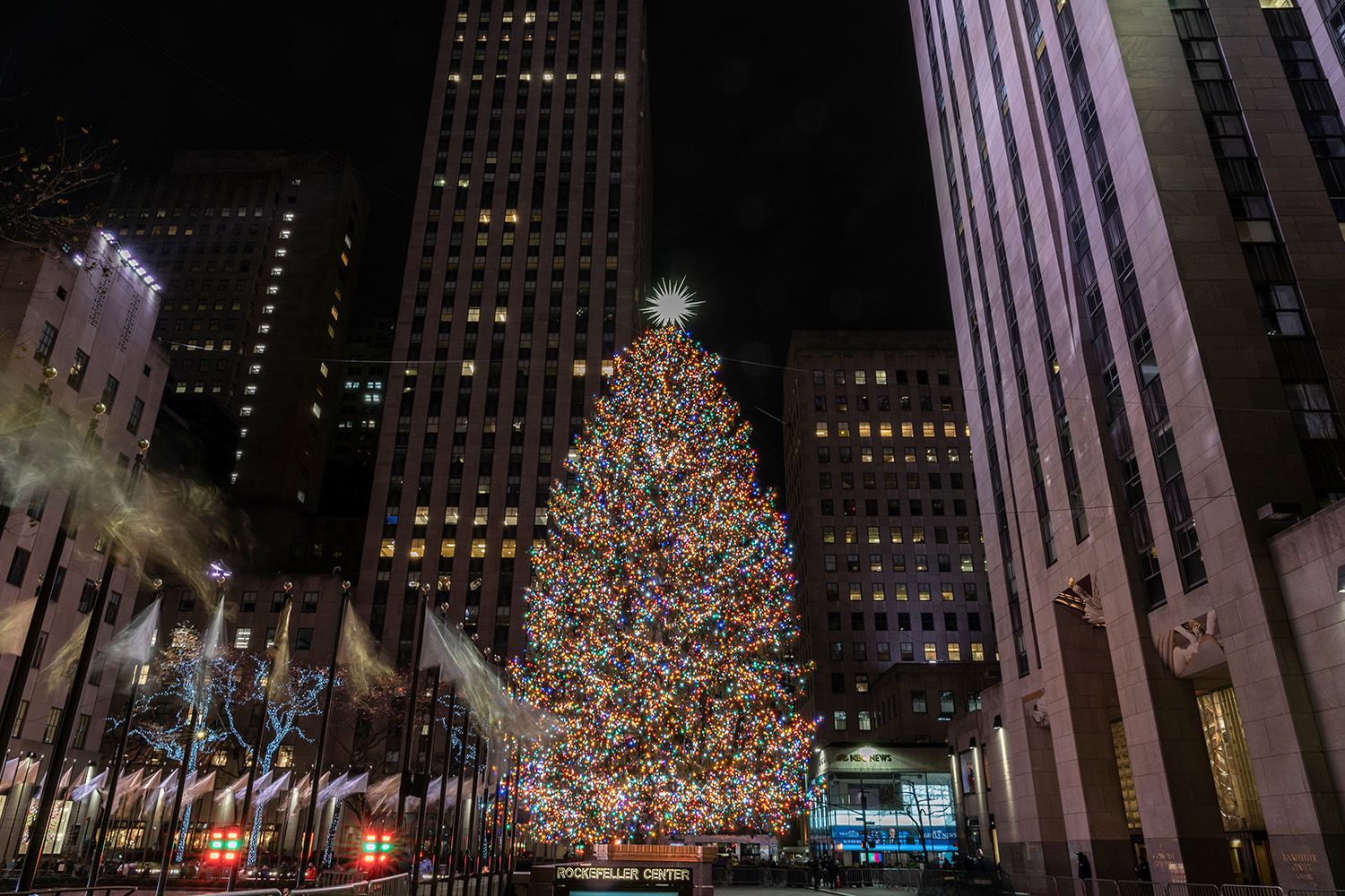 10 of the world's most spectacular Christmas trees Wanderlust