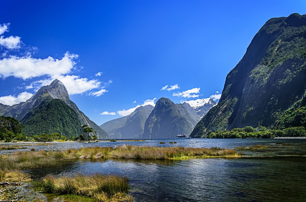 Fiordland, New Zealand. (Shutterstock)