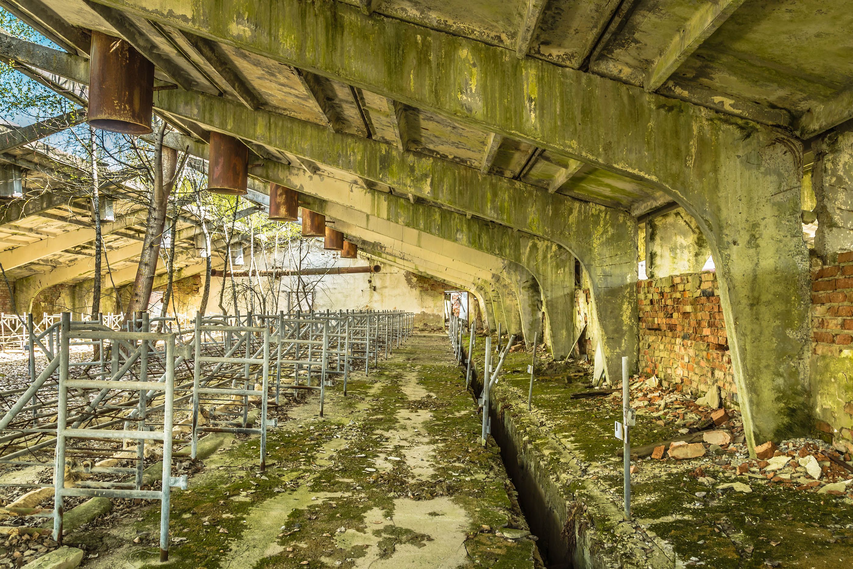 An abandoned farm in the Belarus Exclusion Zone, open to the public from April 2019 (Shutterstock)