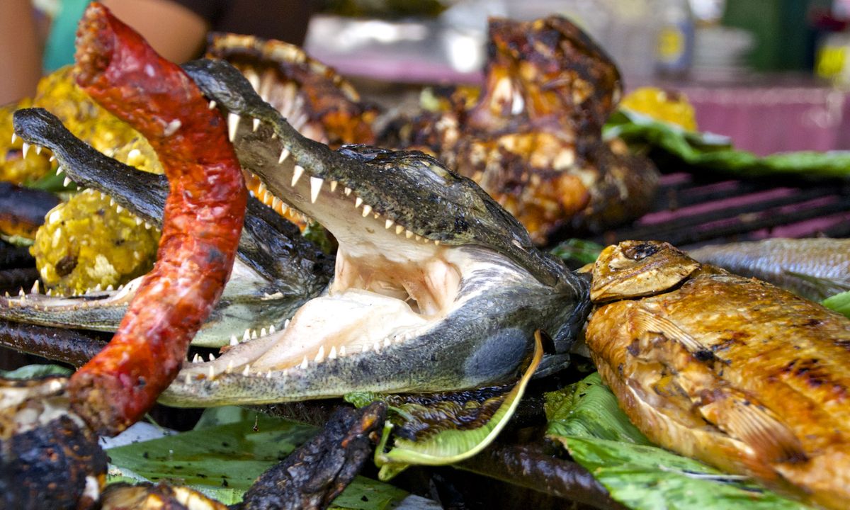 Crocodile head with sausage, Amazon market, Peru (Dreamstime)