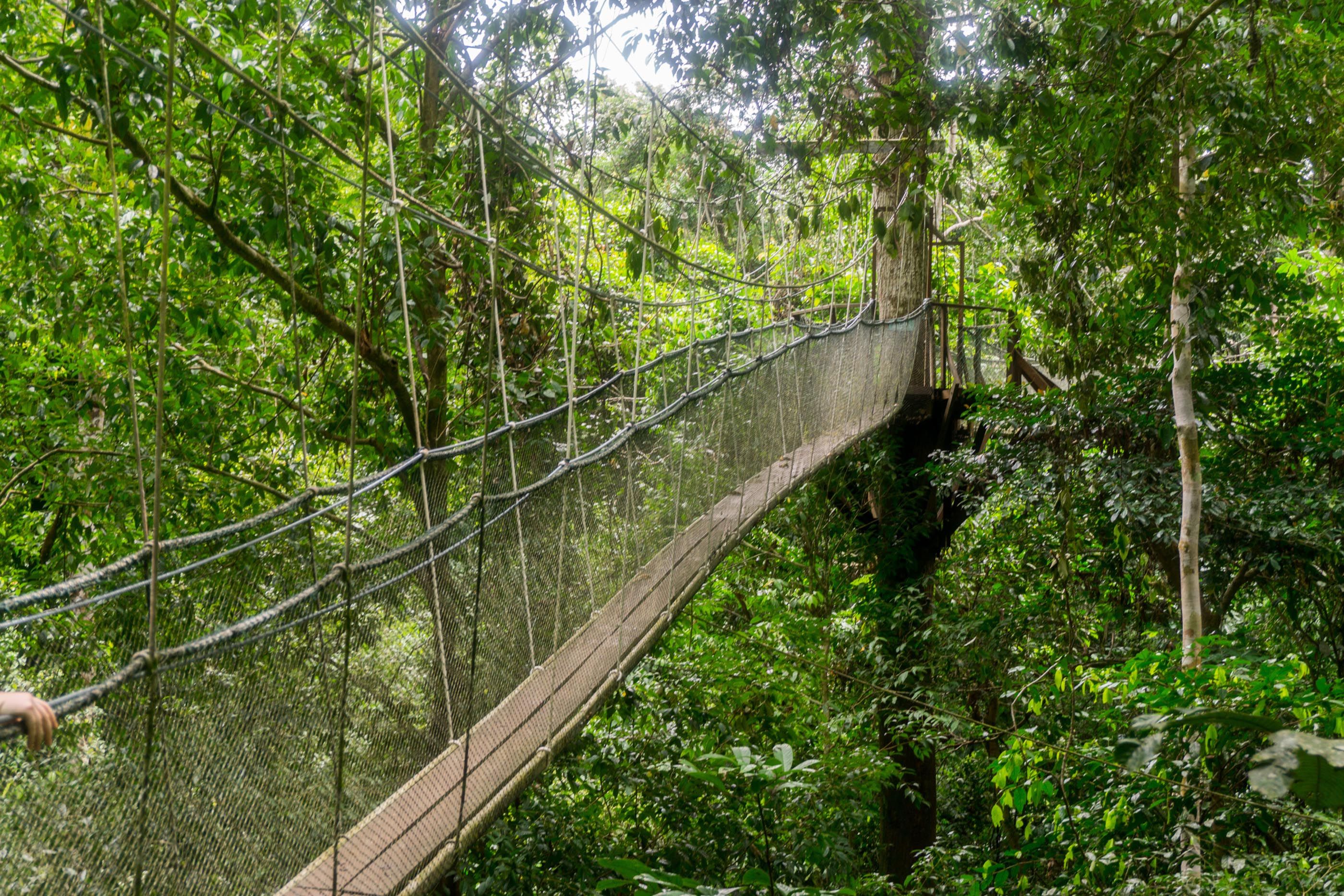 Go Wild 12 National Parks In Sarawak That Will Get You Back To Nature Wanderlust