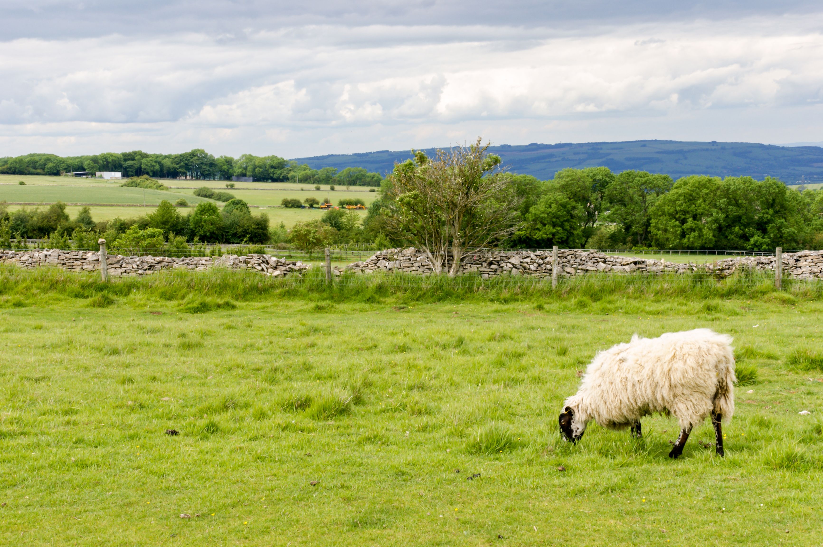 Stroll to the top England’s 5 best small hills Wanderlust
