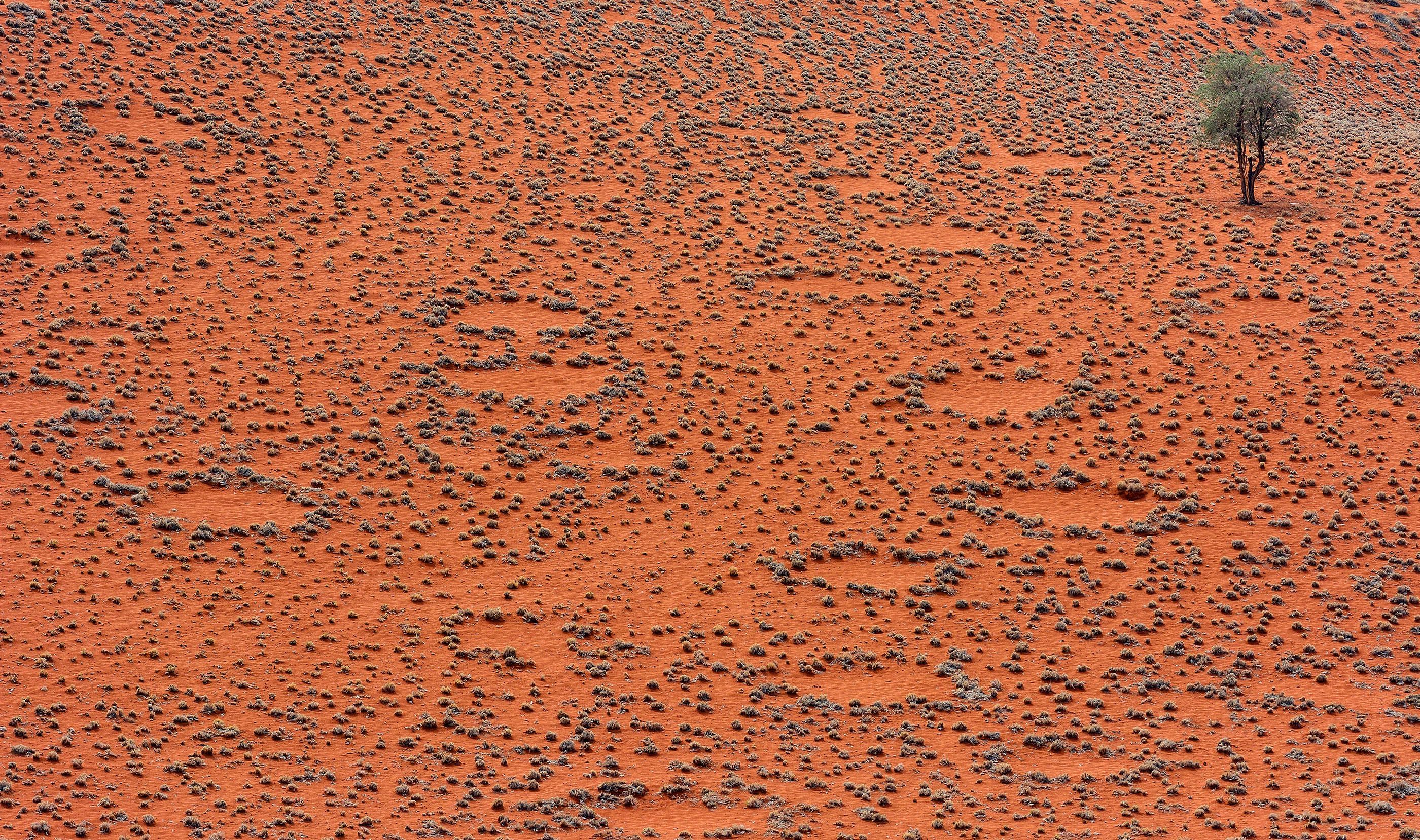 La Namibie est l'un des endroits les moins peuplés du monde (Shutterstock)