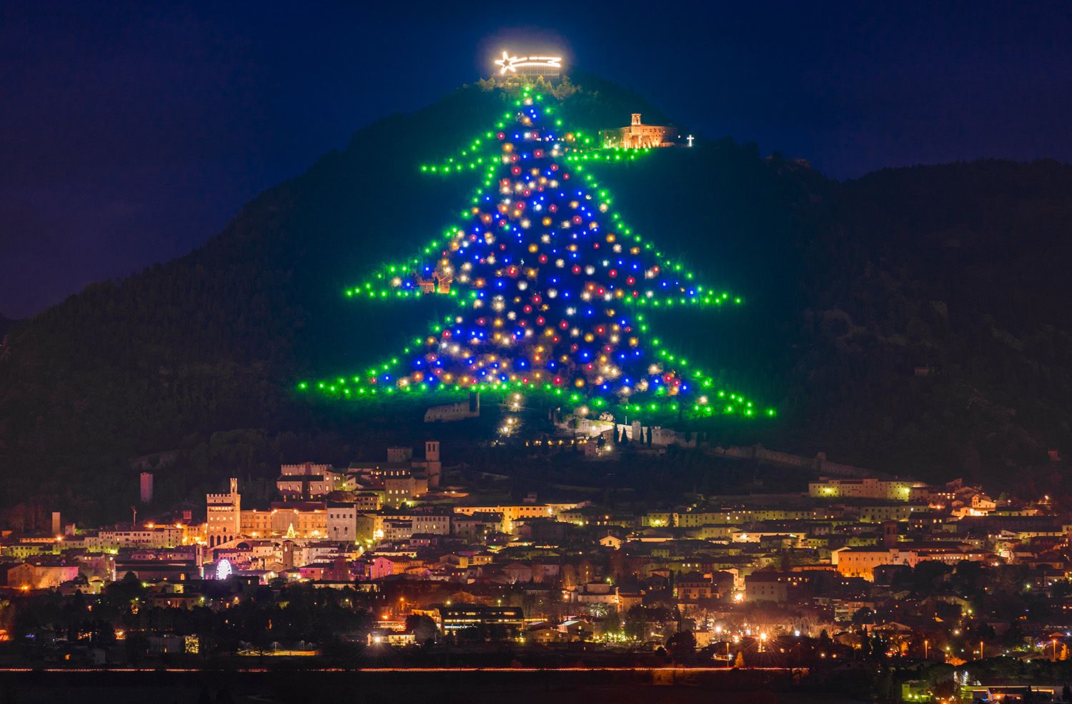 10 of the world's most spectacular Christmas trees Wanderlust