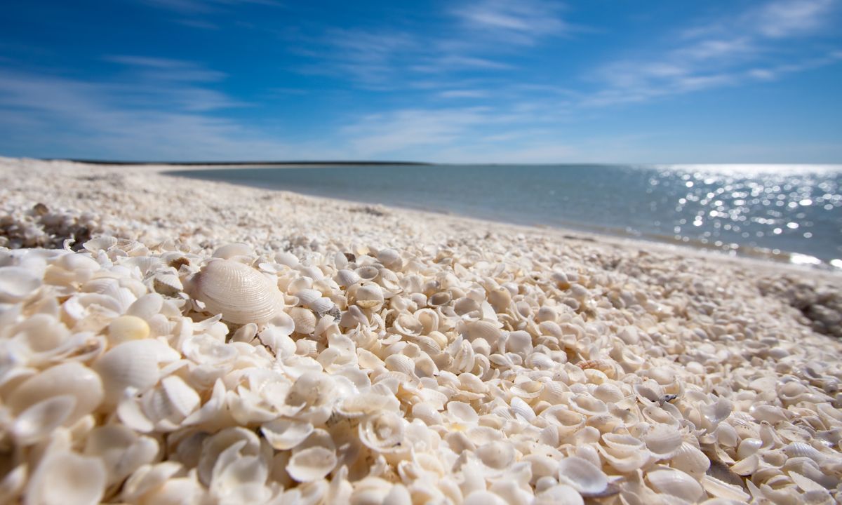 the world s 7 best beaches for finding shells wanderlust