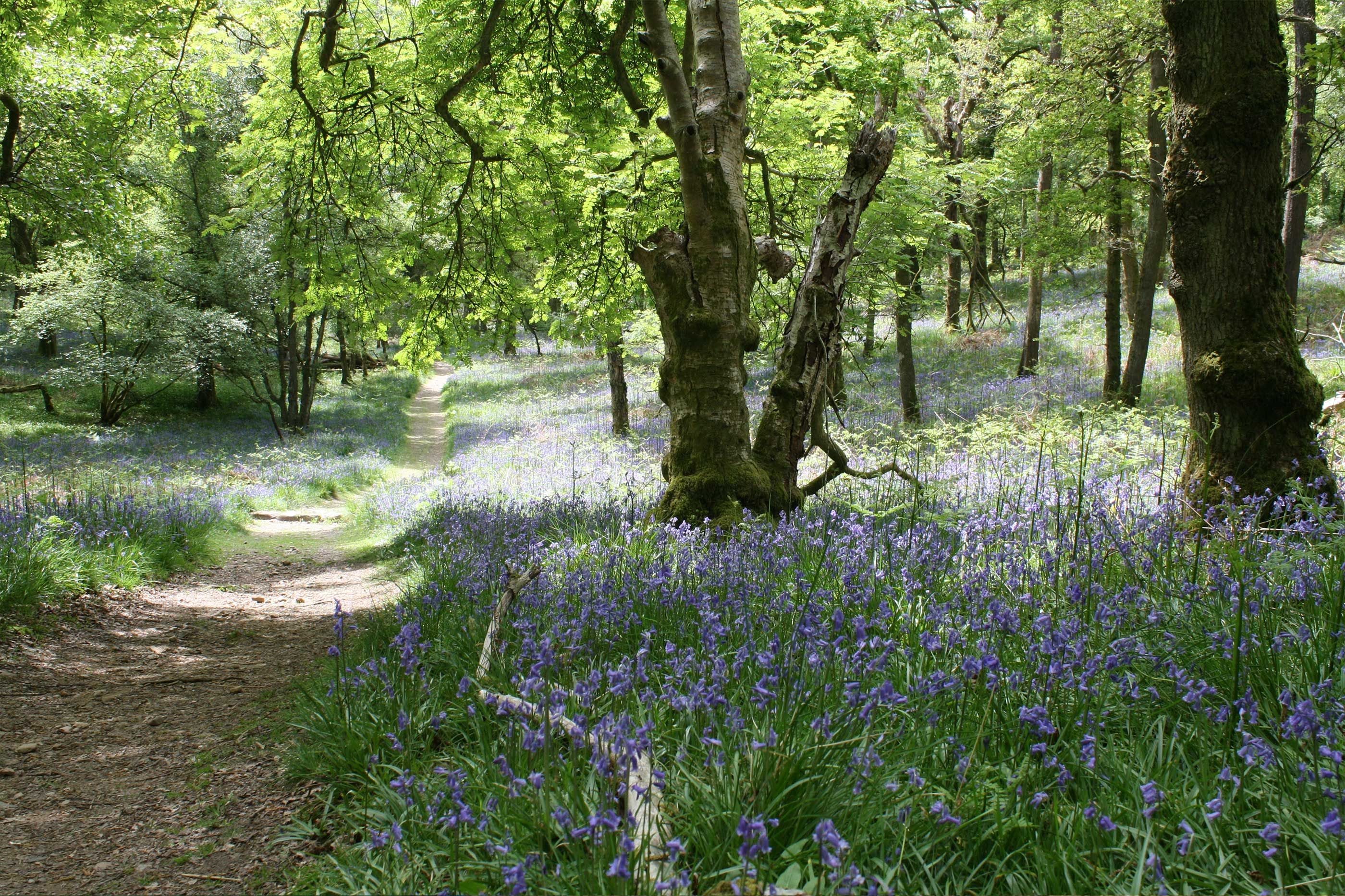 7 Of The Uk S Best Wild Campsites Wanderlust