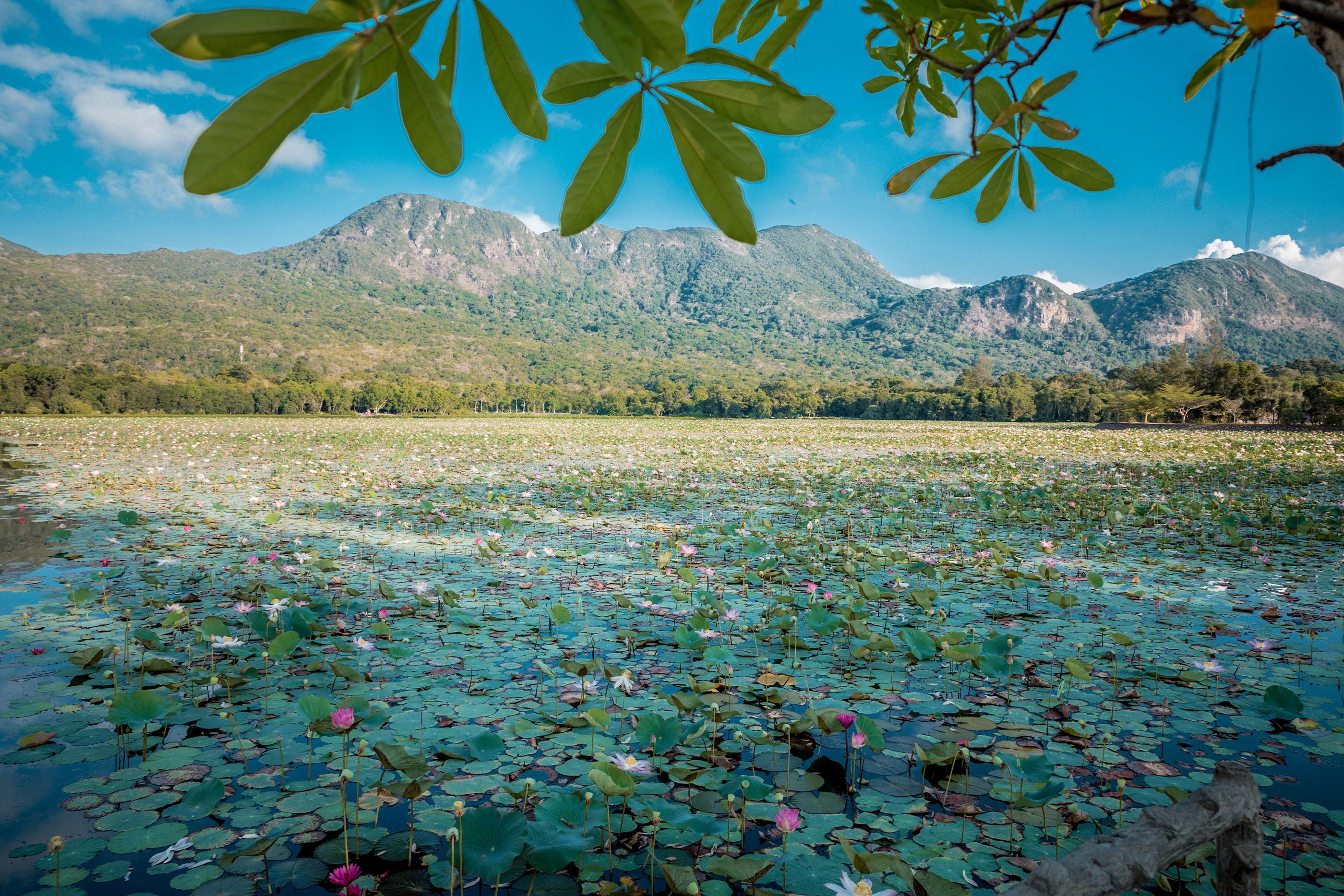 Con Dao National Park (Shutterstock)