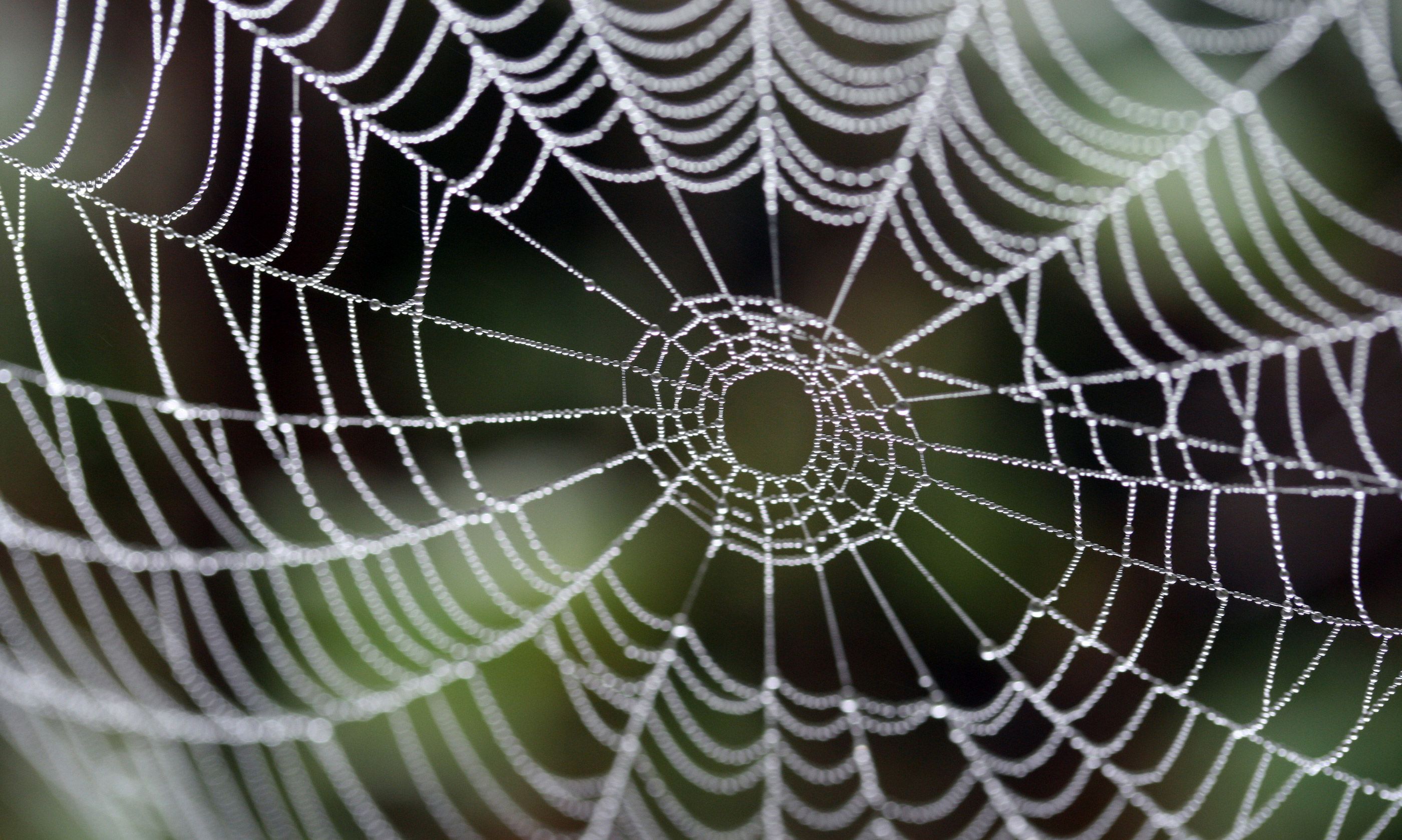 The world's 13 weirdest Christmas traditions | Wanderlust