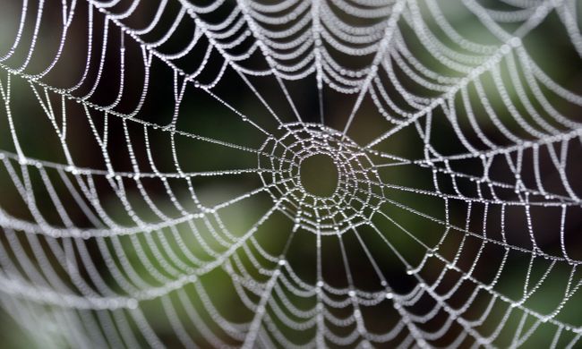 Ukraine-spider-web-christmas-ornament – nomadwomen The world's 13 weirdest Christmas traditions | Wanderlust