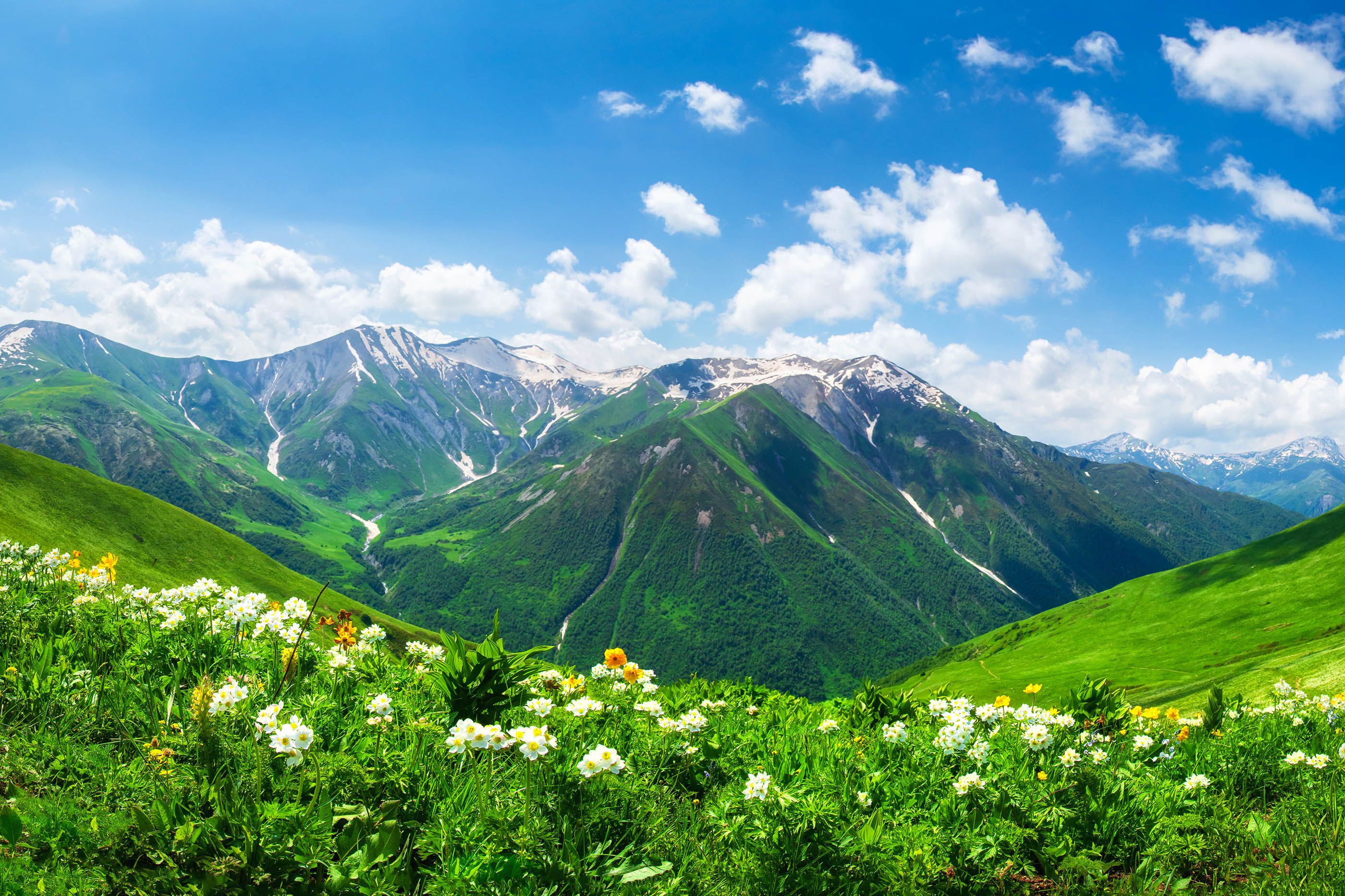 Quiz: Is It Georgia (State) or Georgia (Country)? | Wanderlust