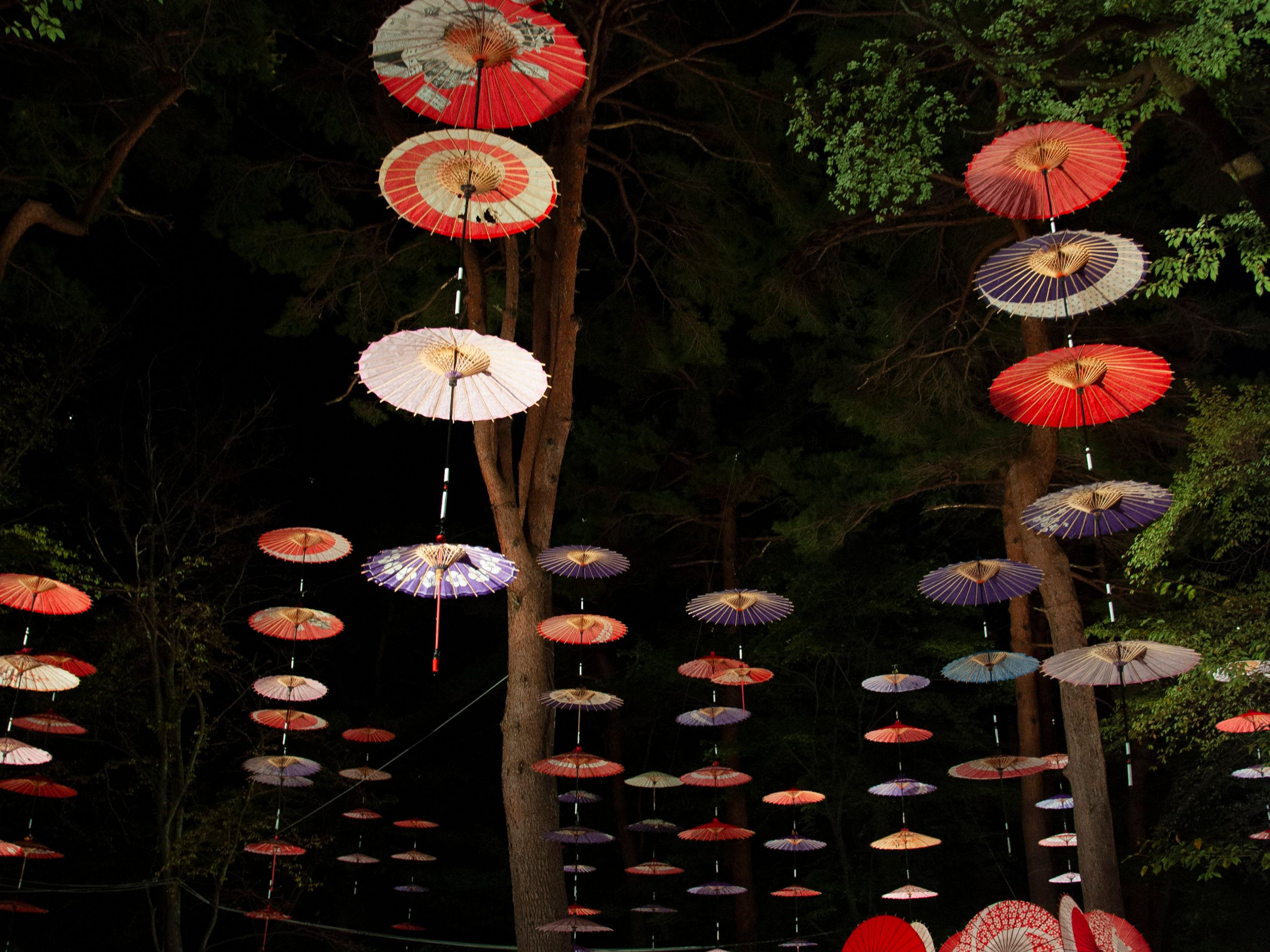 Essential stops on a journey across Kanto, Japan Wanderlust