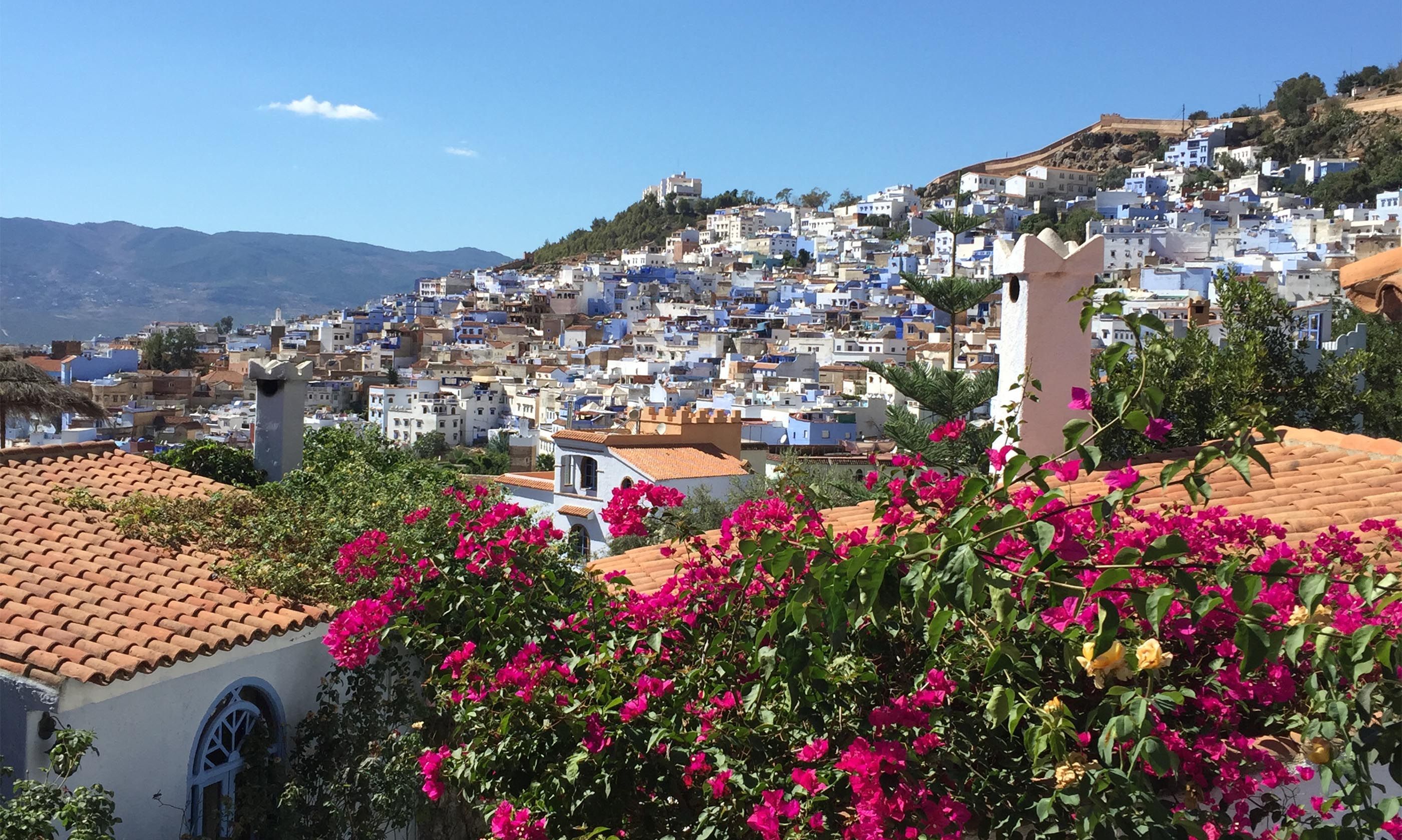 Alice Morrison Interview On Living In Morocco Wanderlust