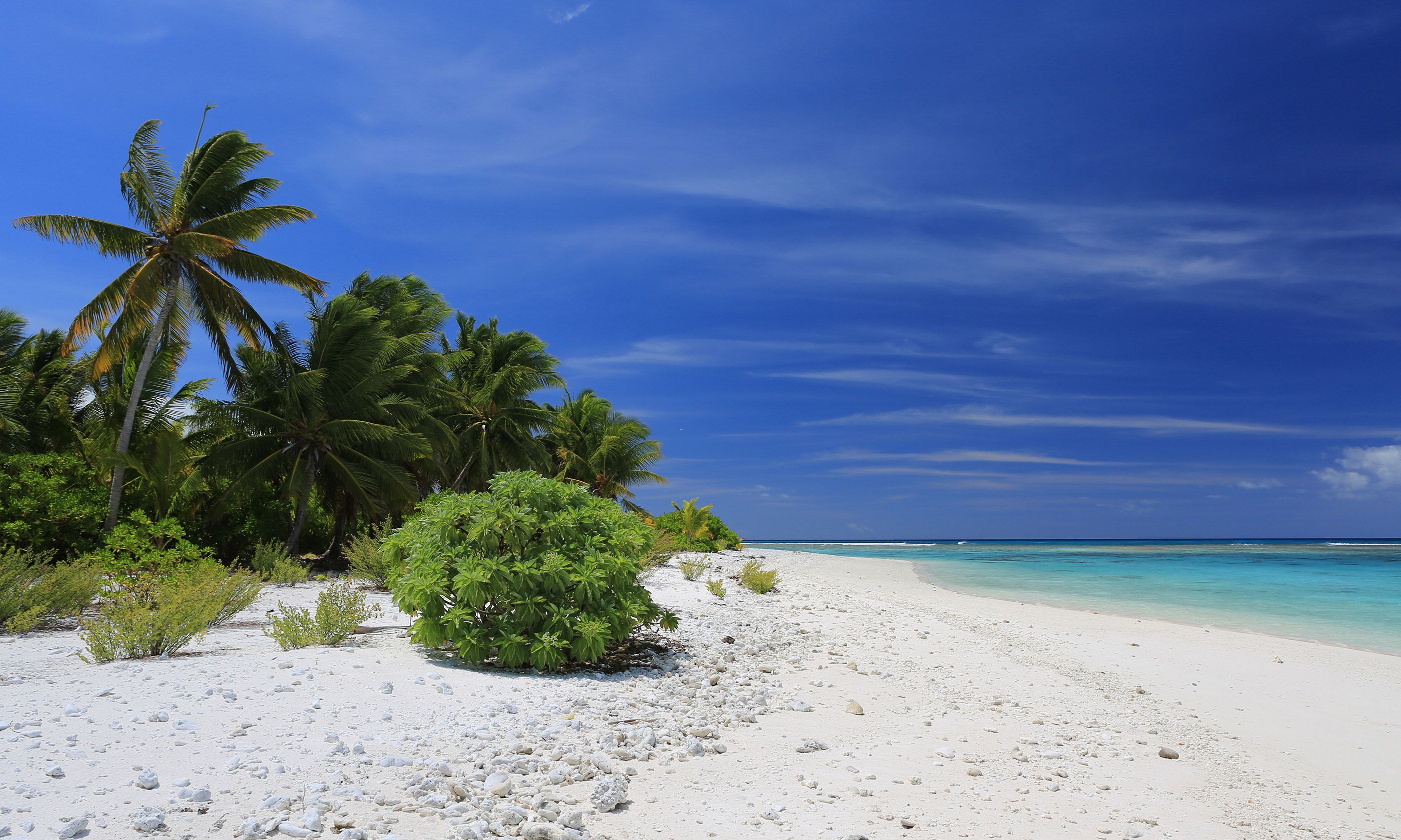 Beach on Christmas Island (Dreamstime)