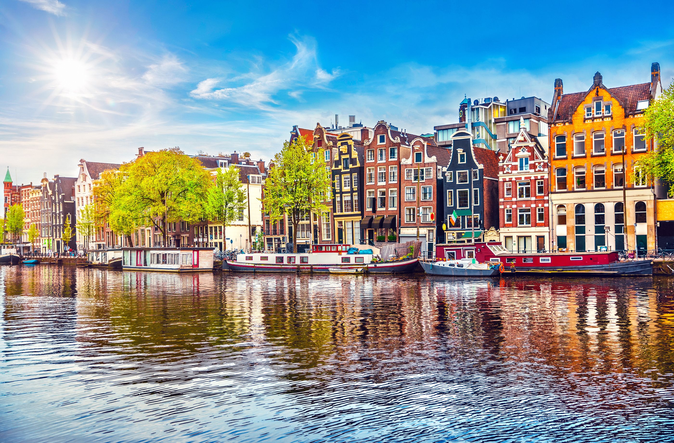 Alternative Amsterdam A full travel guide Wanderlust