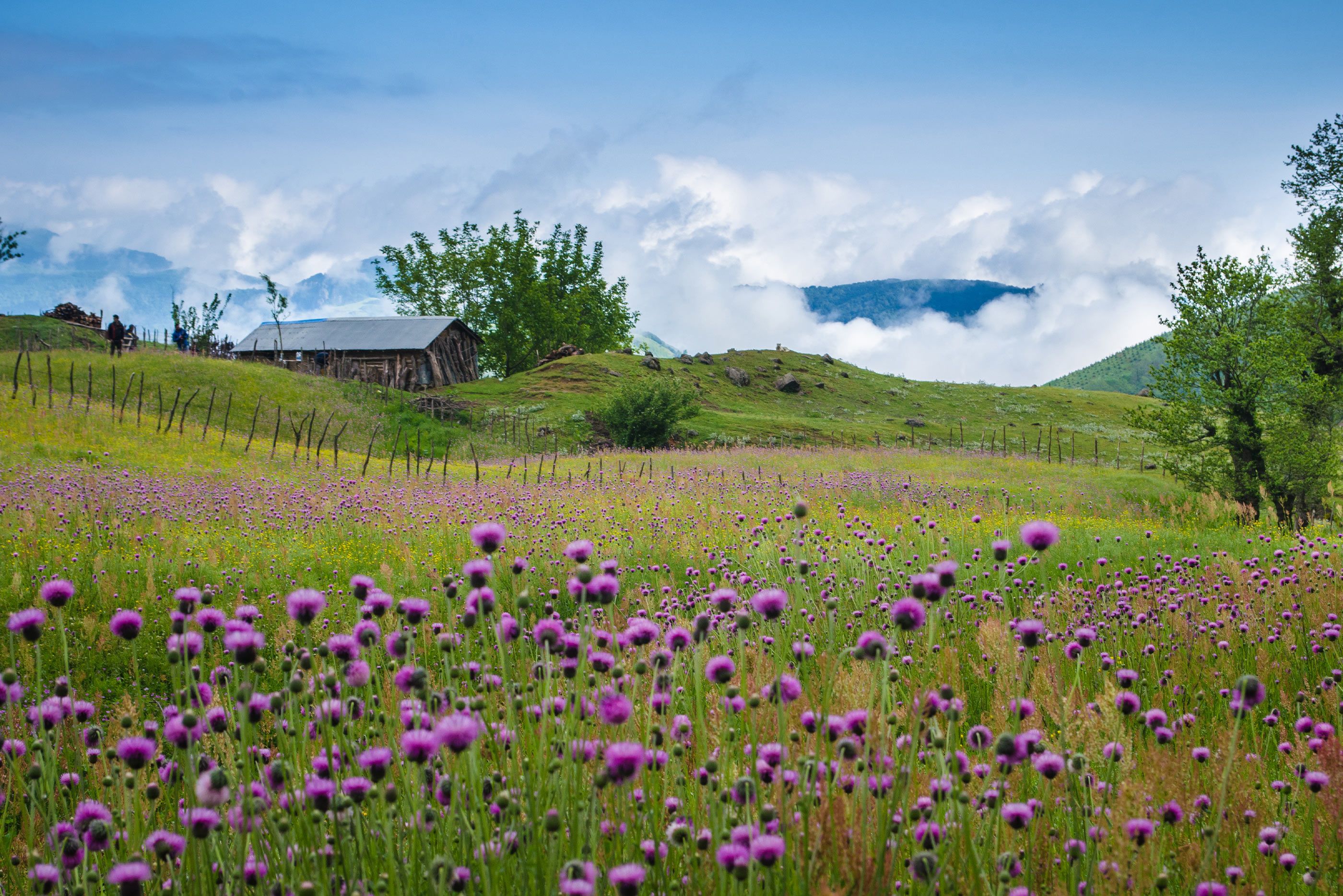 5 reasons to visit Azerbaijan in spring | Wanderlust