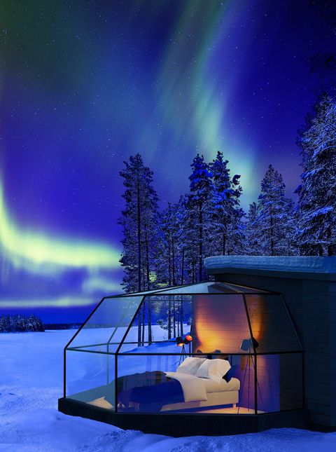 Dream Sleep Arctic Fox Igloos Finnish Lapland Wanderlust