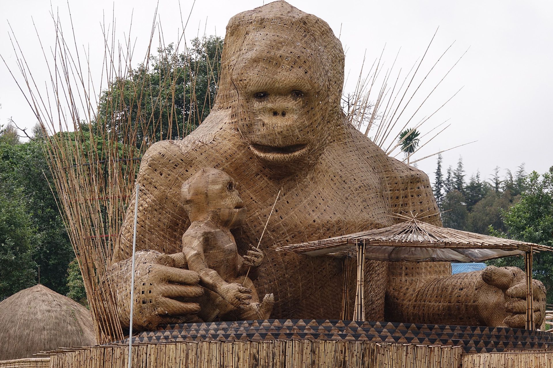 Rwanda gorilla naming ceremony Wanderlust