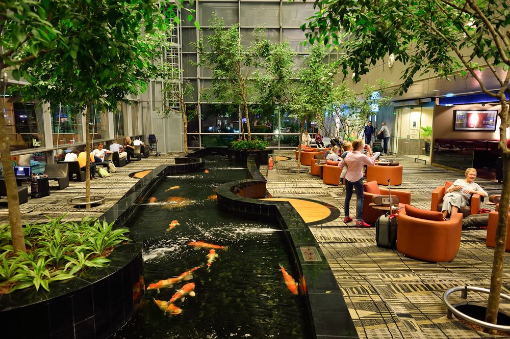 quiz-how-well-do-you-know-airport-codes-wanderlust