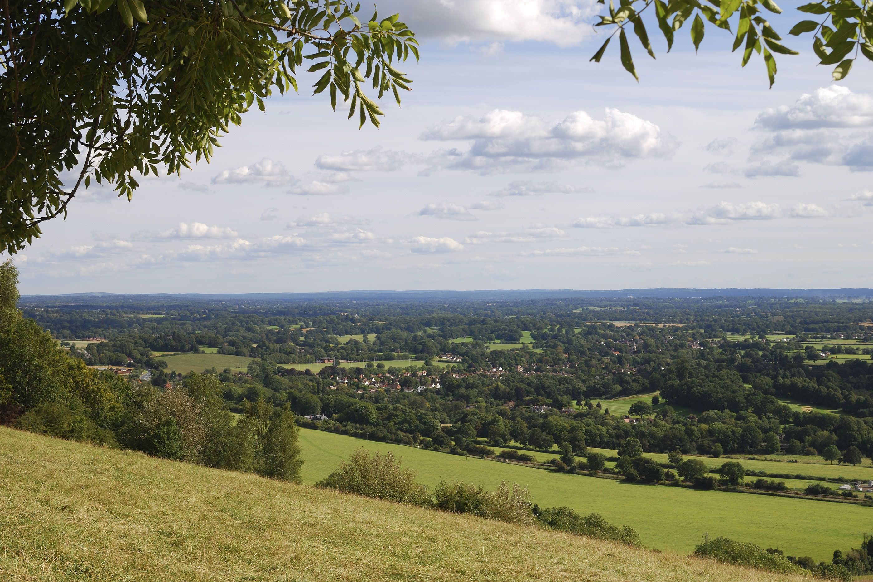 9 of the best walks in Surrey Wanderlust