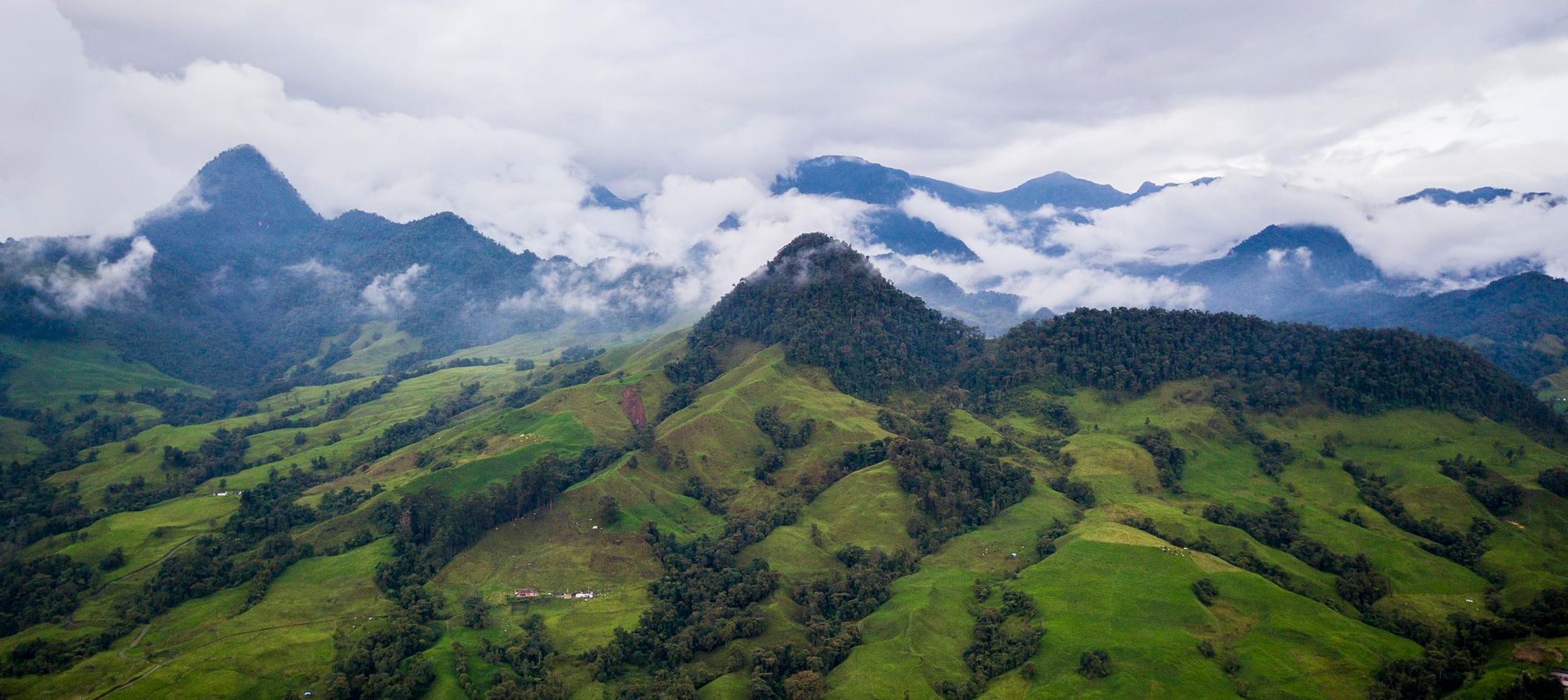 Discover the real Colombia: A virtual evening with Shafik Meghji