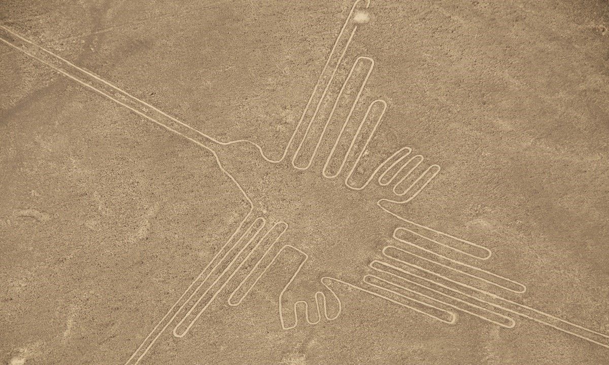 Aerial view of the Hummingbird Geoglyph (Shutterstock)