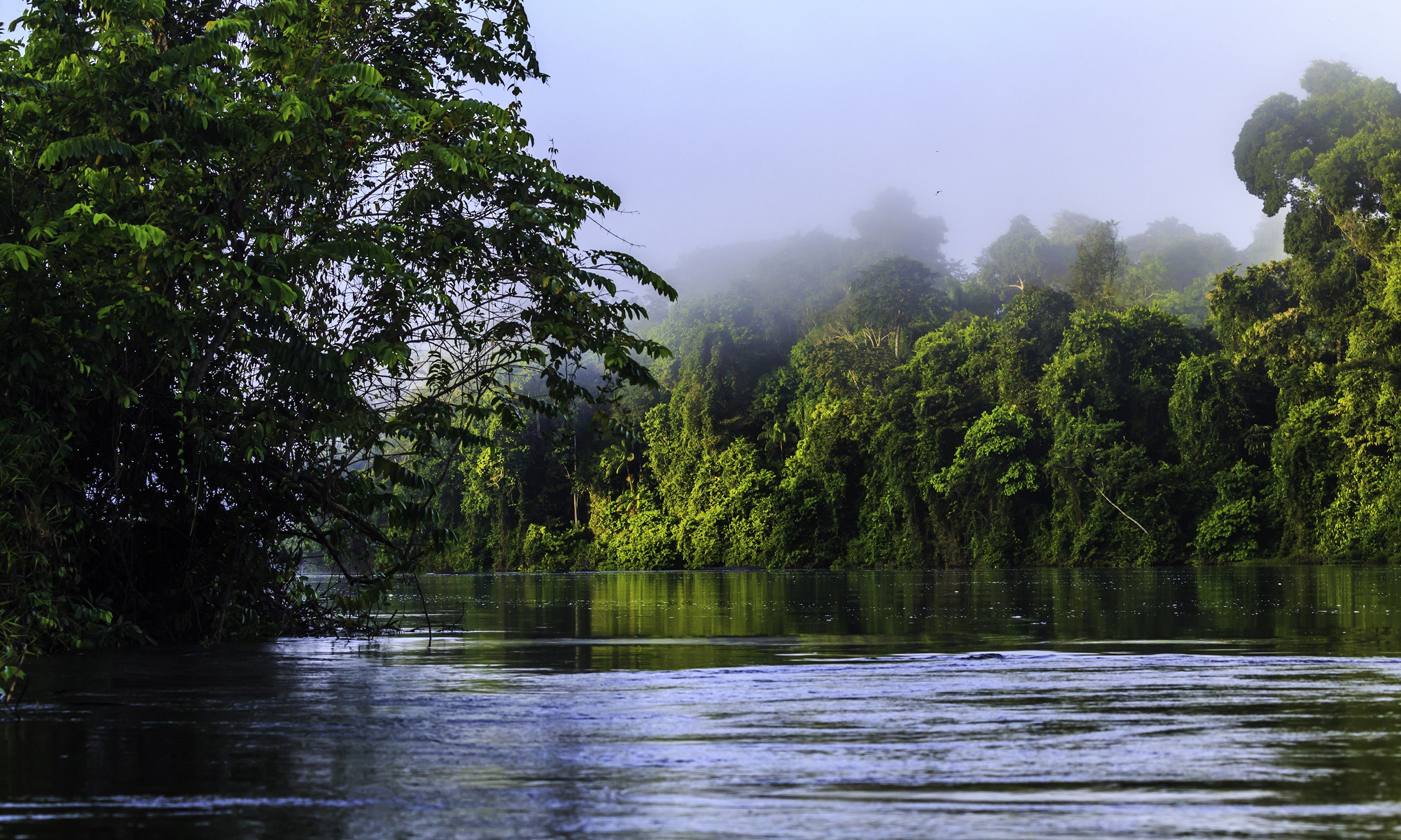Суринам достопримечательности