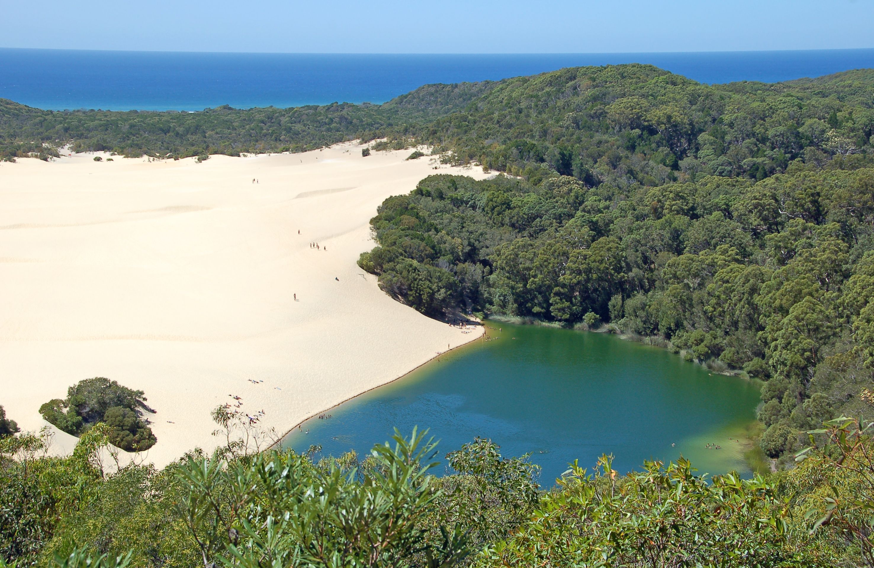 Fraser Island, Australia. (Dreamstime)