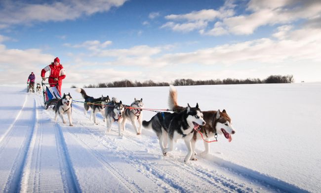 14 Alternative Northern Lights Trips From Husky Sledding In Norway To Photographing Iceland Wanderlust 14 Alternative Northern Lights Trips From Husky Sledding In Norway To Photographing Iceland Wanderlust