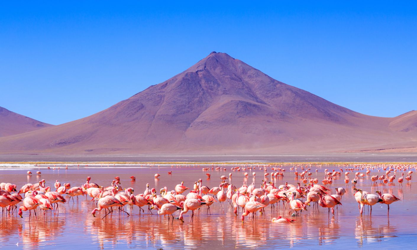Quiz Where In The World Are These Pink Places Wanderlust quiz-where-in-the-world-are-these-pink-places-wanderlust
