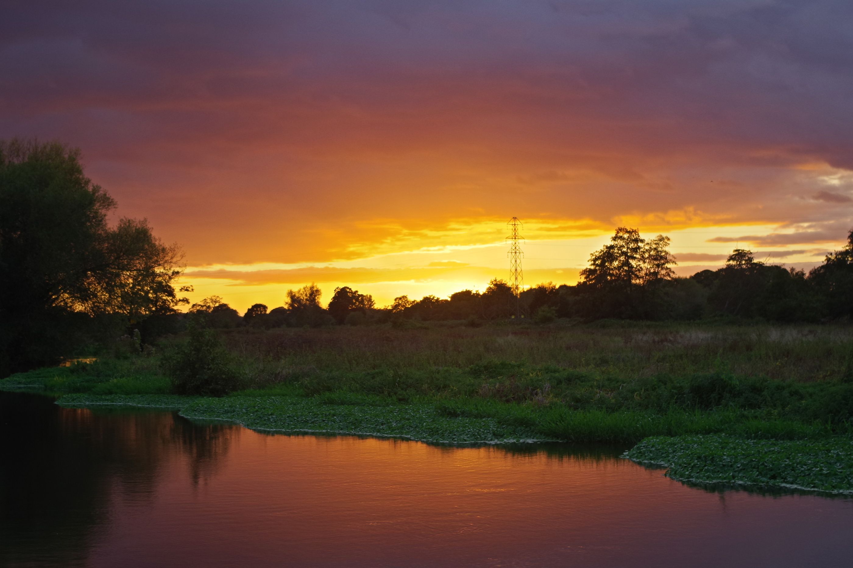 9 of the best walks in Surrey Wanderlust