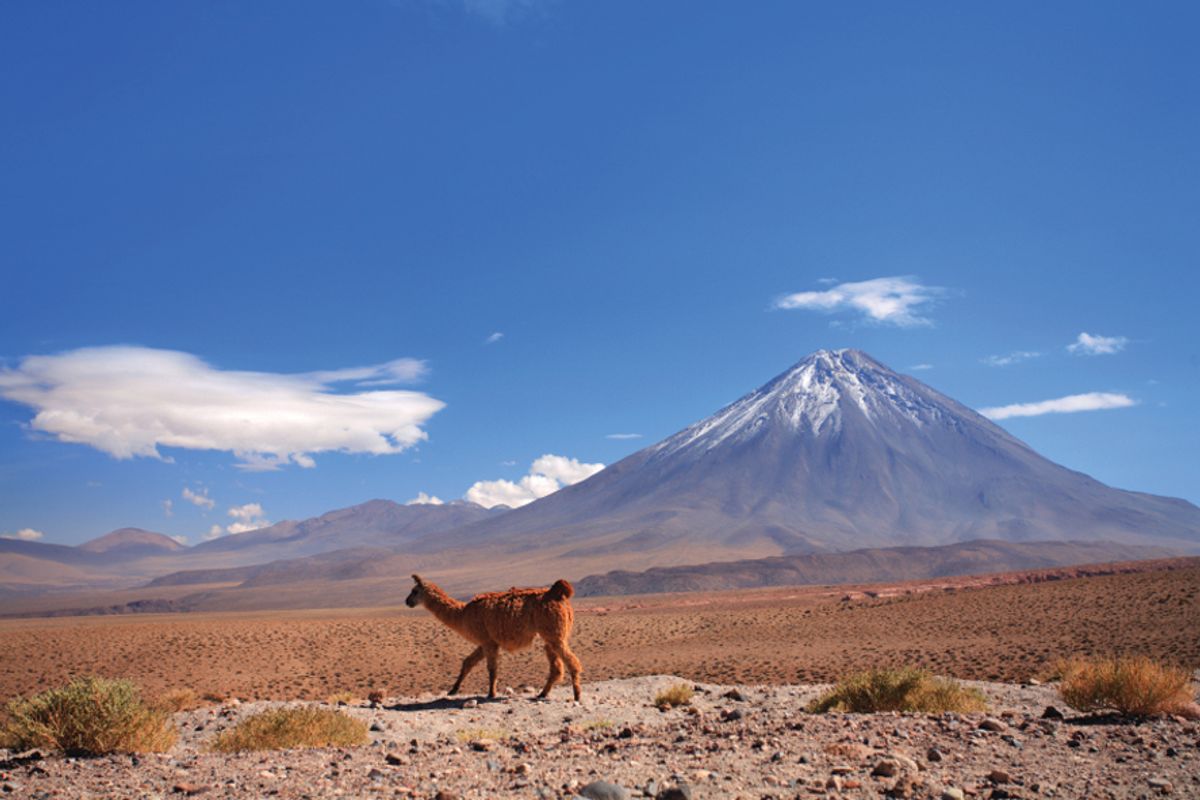 Atacama Desert, Chile. (iStock)