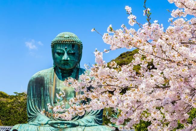 The Great Buddha in Kamakura, Japan (Shutterstock)