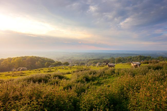 Glorious views from Dover's Hill (Shutterstock)