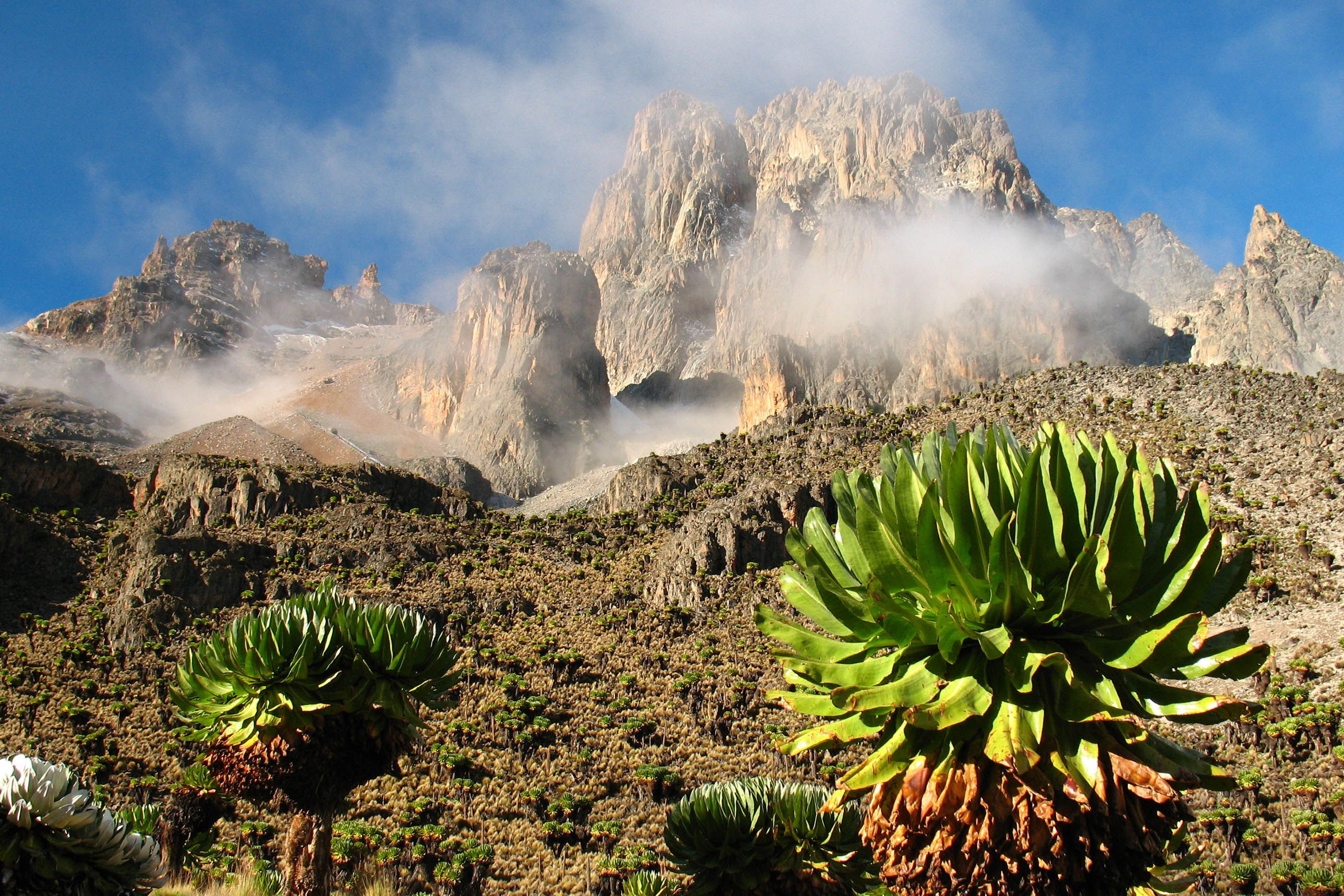 The 37 Best Walks In The World Wanderlust