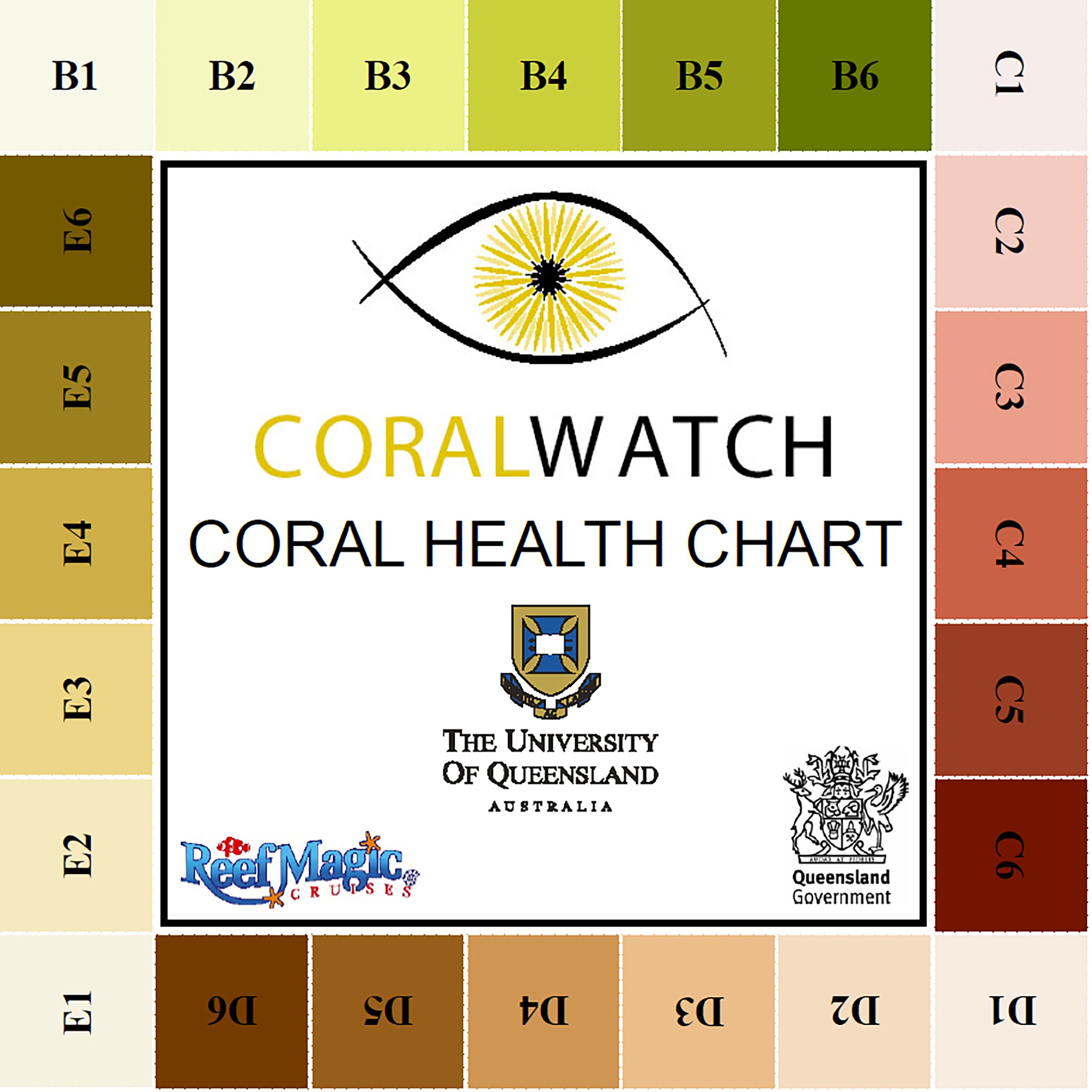 Coral Identification Chart