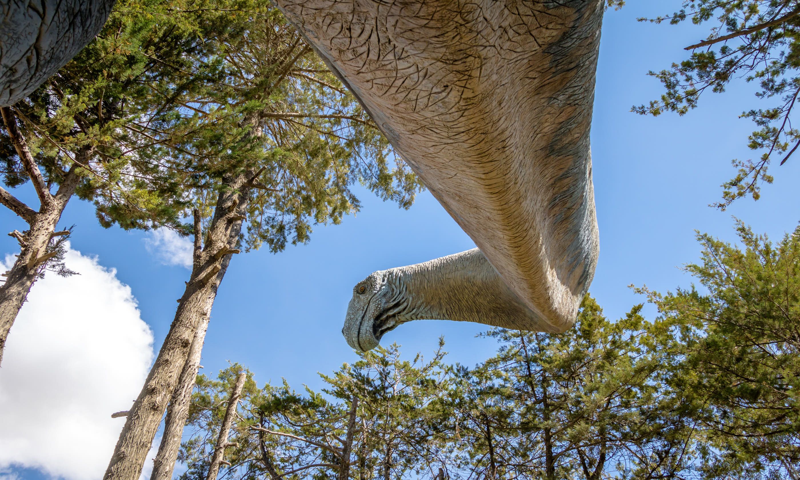 Brachiosaurus dinosaur model (Dreamstime)
