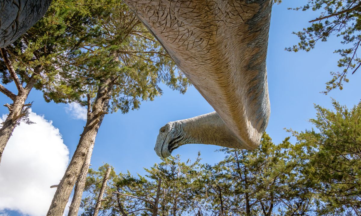Brachiosaurus dinosaur model (Dreamstime)