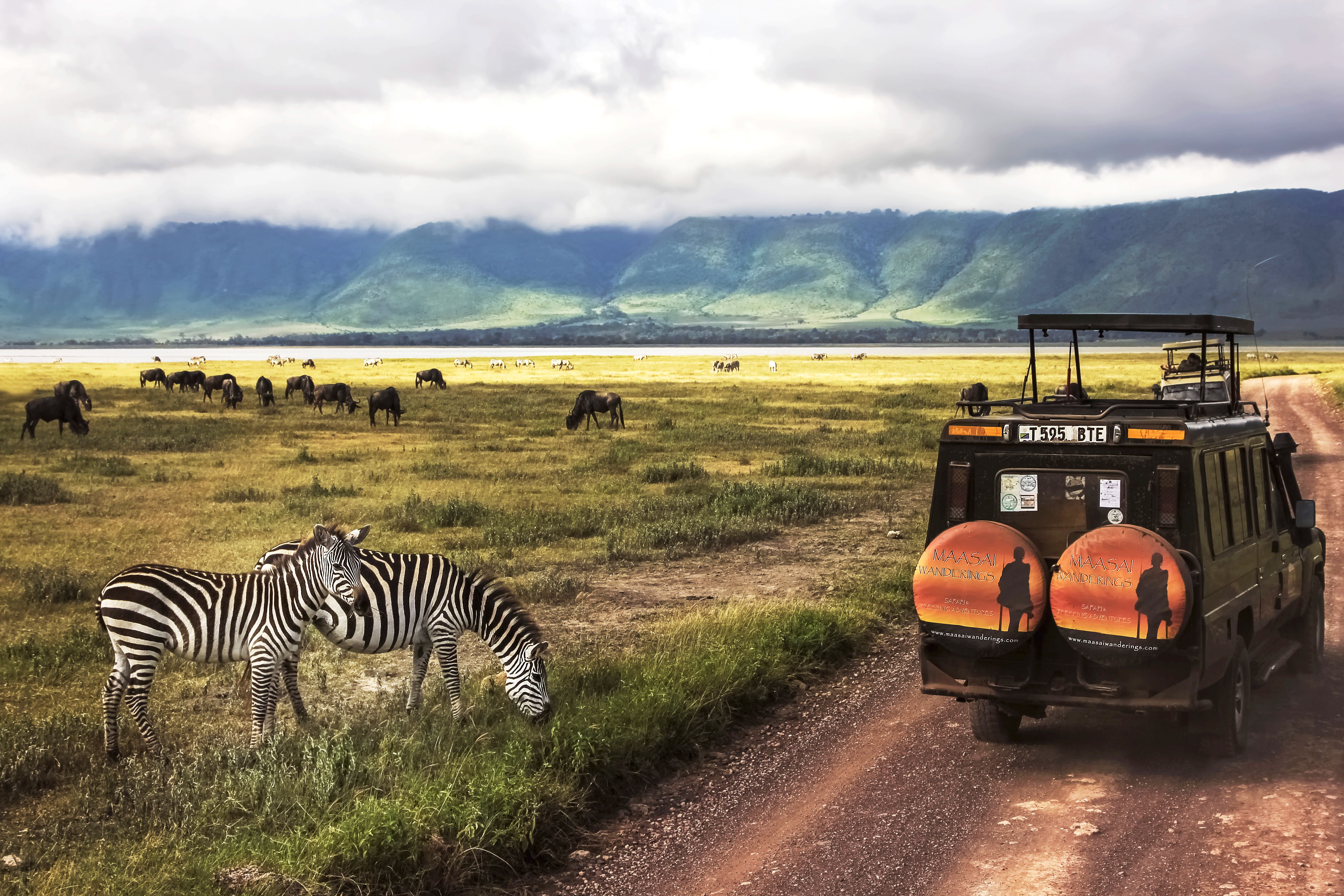 The Best African Safaris For Every Kind Of Traveller Wanderlust