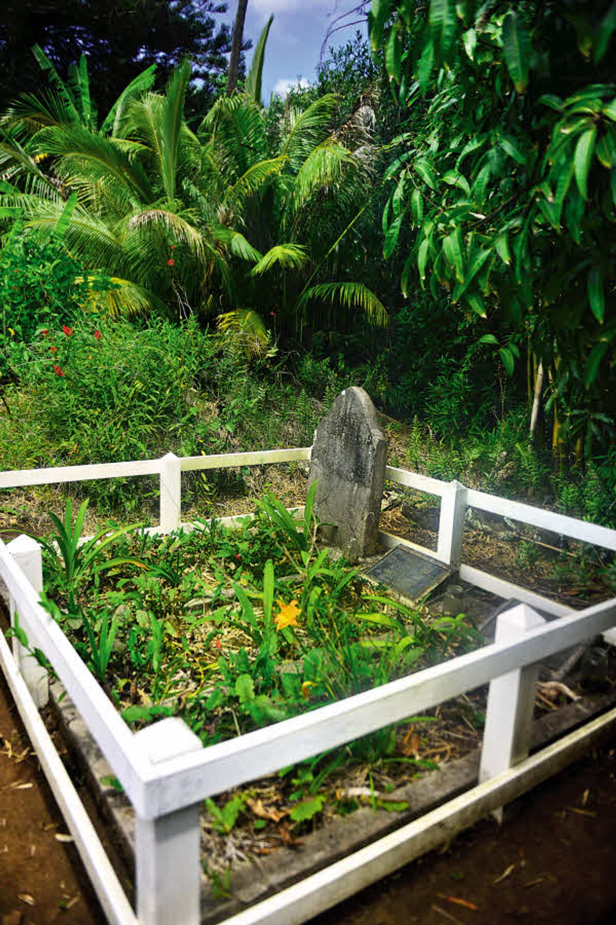 welcome to pitcairn the far flung british island you ve probably