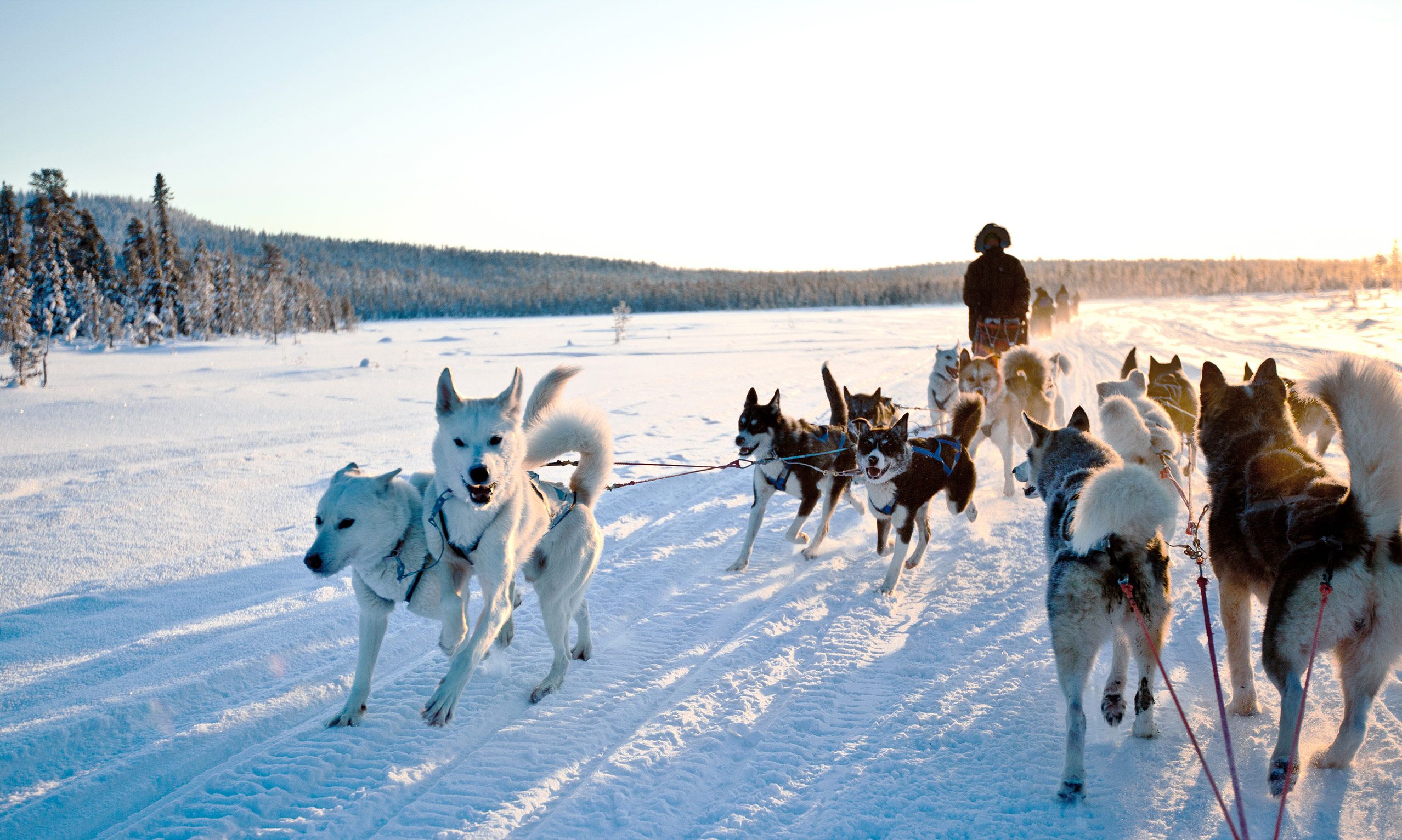 Festive fun: 10 frozen festivals to get heated up about | Wanderlust